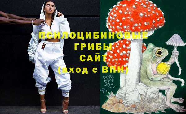 бутират Кинешма