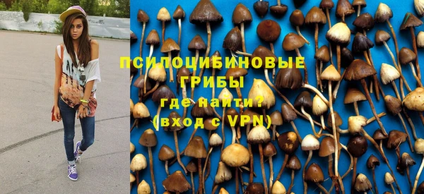 прущие грибы Инта