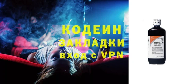 шишки Киренск