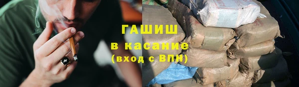 соль ск Каменка