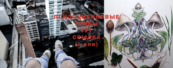 соль ск Каменка