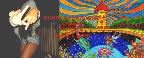 стаф Нея