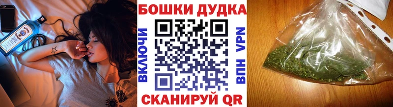 где можно купить наркотик  Краснозаводск  Канабис ГИДРОПОН 